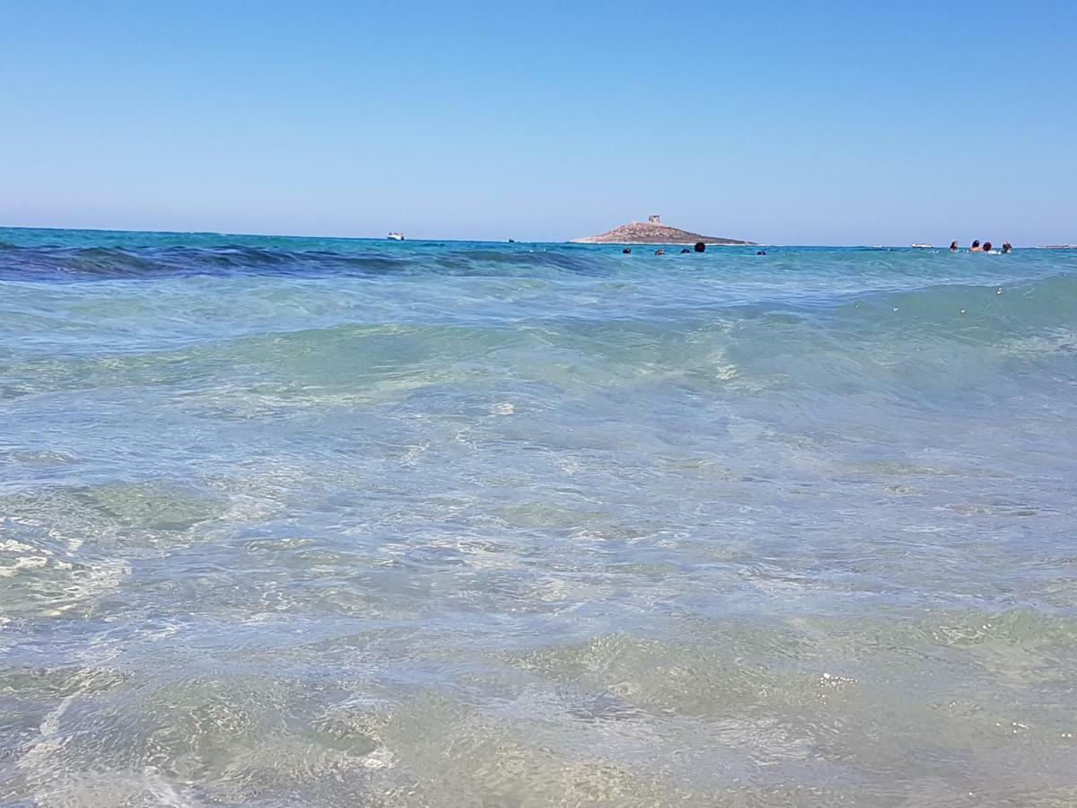 La Rosa Dei Venti Villa Isola delle Femmine Eksteriør bilde